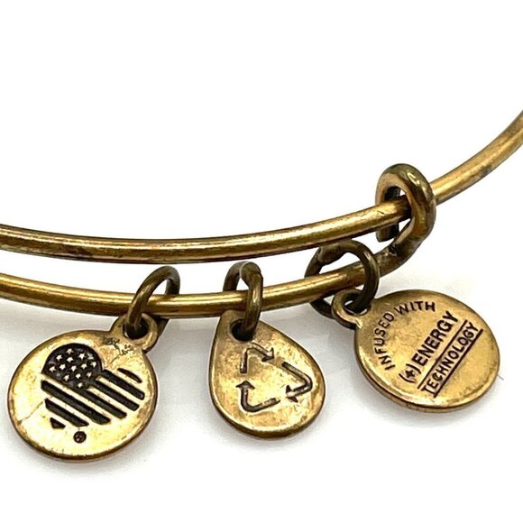 Alex and Ani Quill Feather Rafaelian Gold Finish Adjustable Bangle Bracelet - Picture 3 of 5